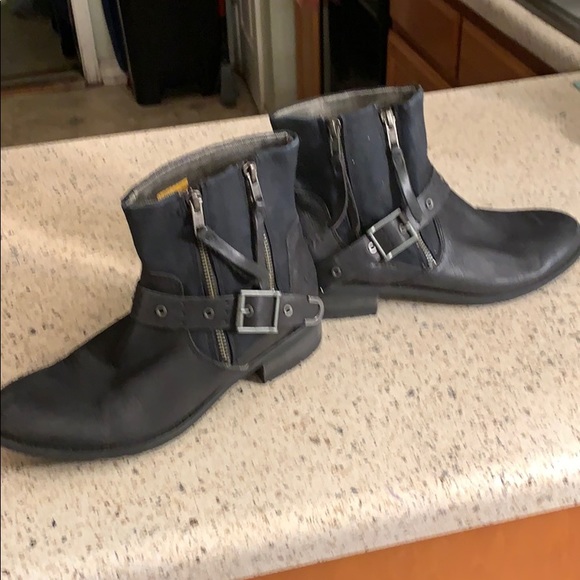 Cat - Picture 5 of 7